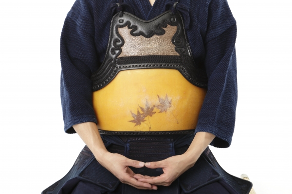 なぎなた（長刀）