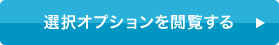 選択オプションを閲覧する