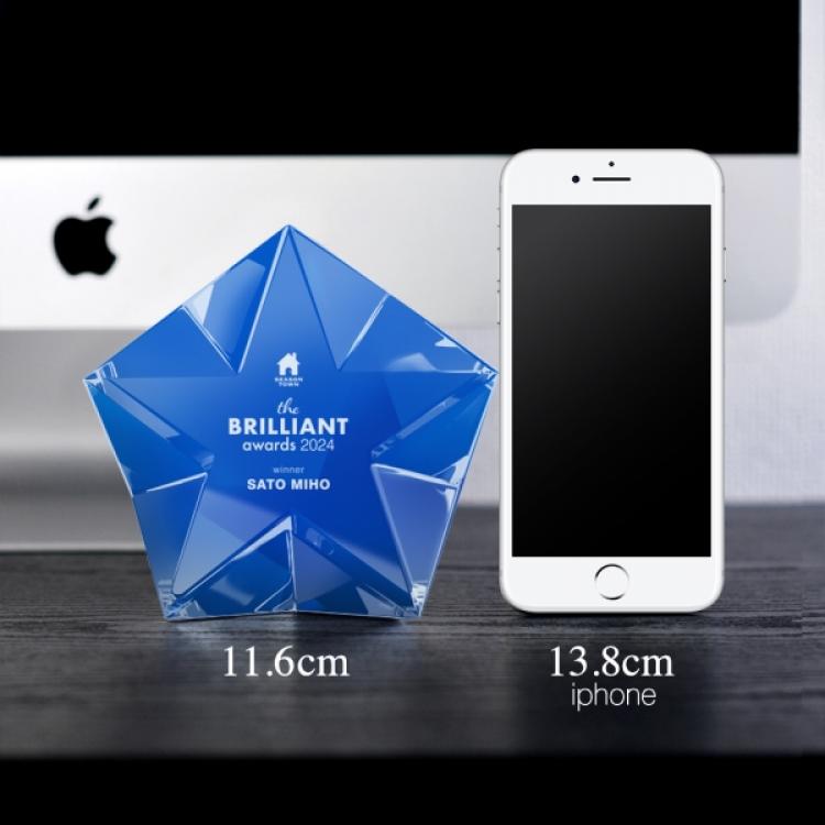 【短納期対応】カラーステラ AL-004-color