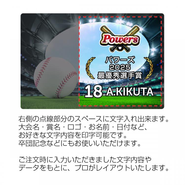 スポーツパレット SK-AL-009-sports