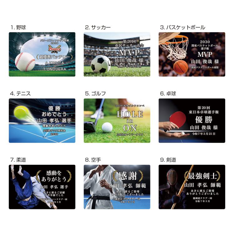 スポーツパレット SK-AL-009-sports