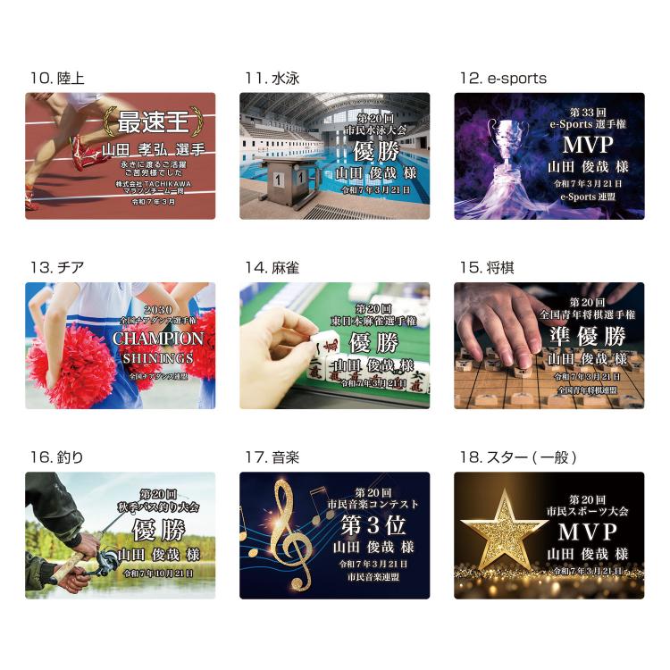 スポーツパレット SK-AL-009-sports