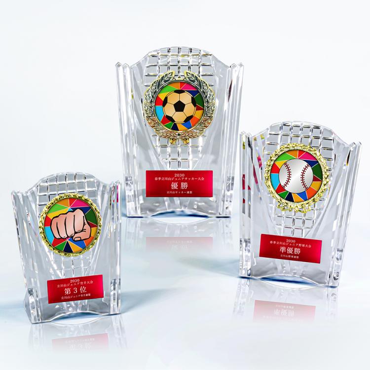 エールアワード AL-707