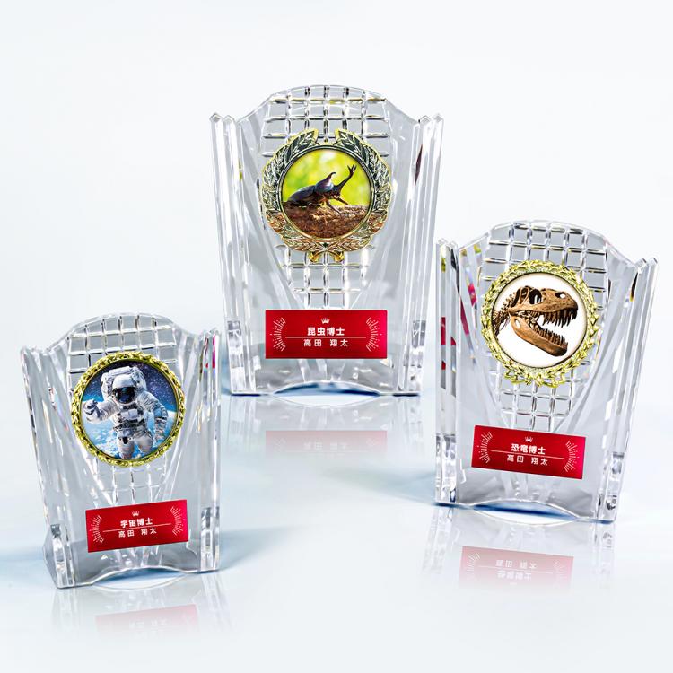 ミライアワード AL-707-mirai