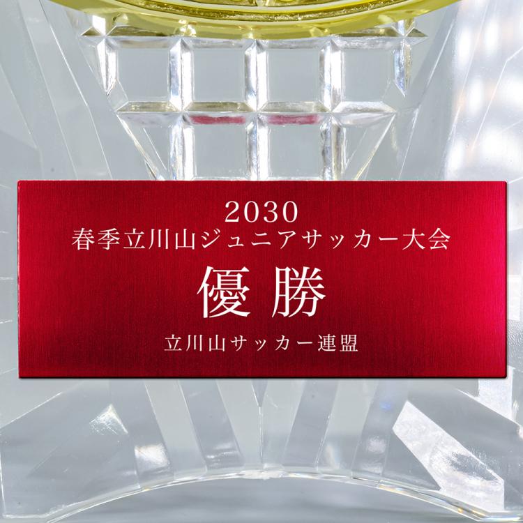 エールアワード AL-707 ☆デザイン確認なし