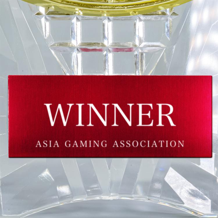 ゲーミングアワード　オオクニヌシ AL-707-esports ★デザイン確認あり