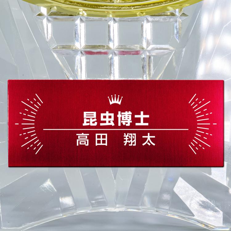 ミライアワード AL-707-mirai