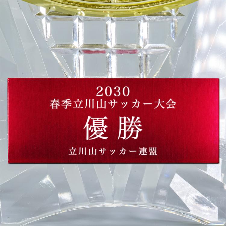 スポーツアワード AL-707-sports