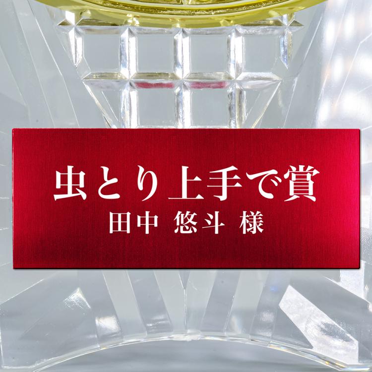 メモリアルアワード AL-707-memorial ★デザイン確認あり