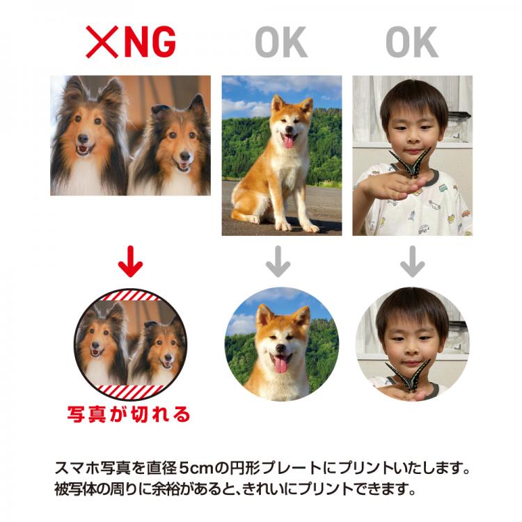 メモリアルアワード AL-707-memorial ★デザイン確認あり