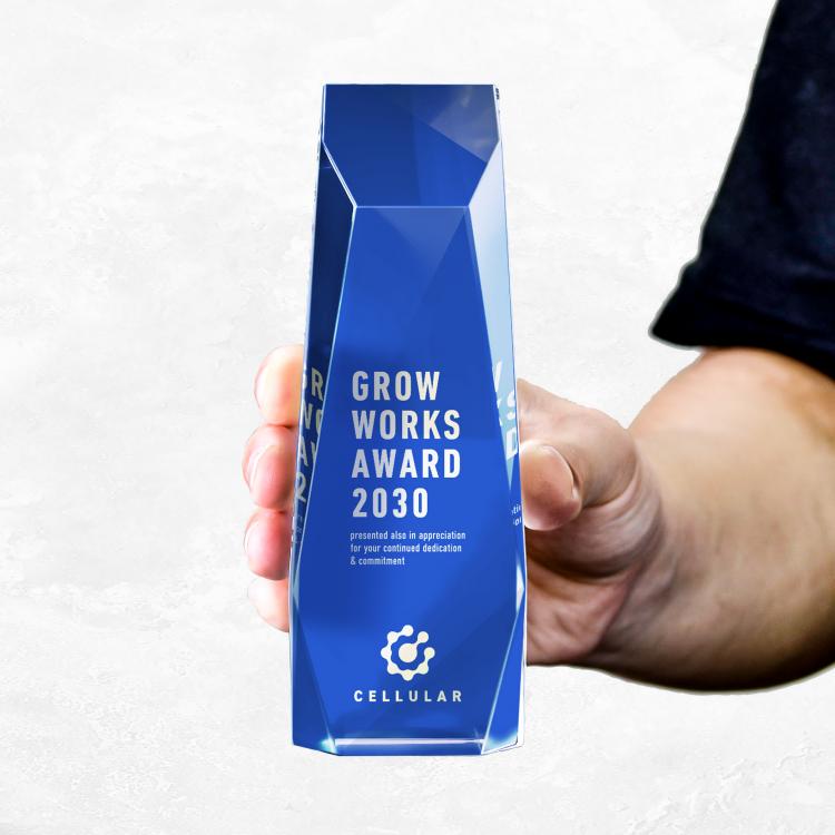 【短納期対応】カラーアルテア AL-013-color