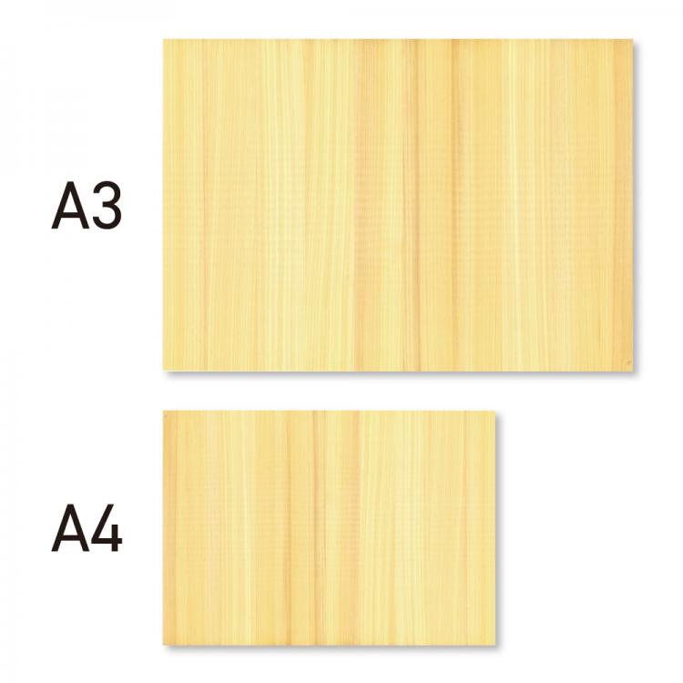 ヒノキの表彰状(文字入れ) AL-109