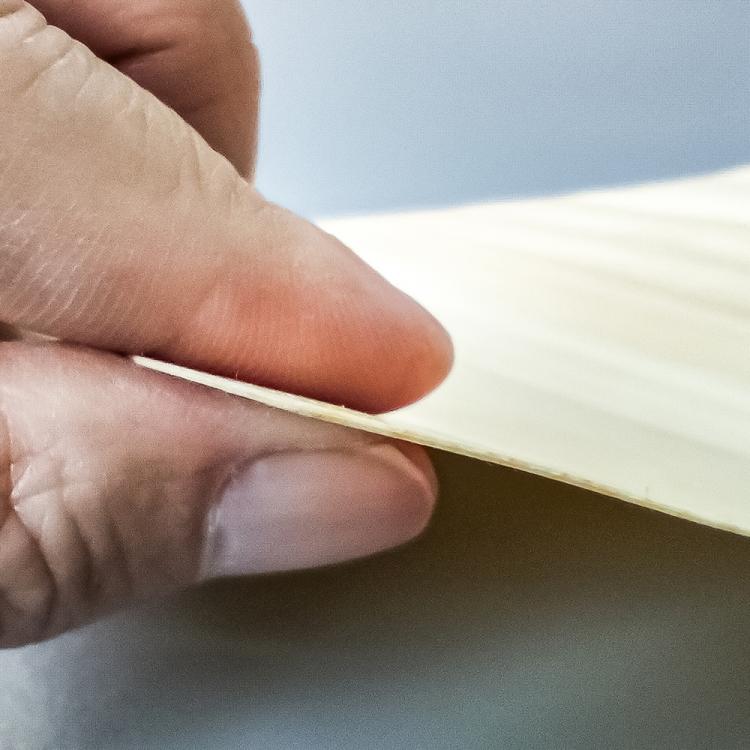 ヒノキの表彰状(無地10枚セット) AL-109-muji