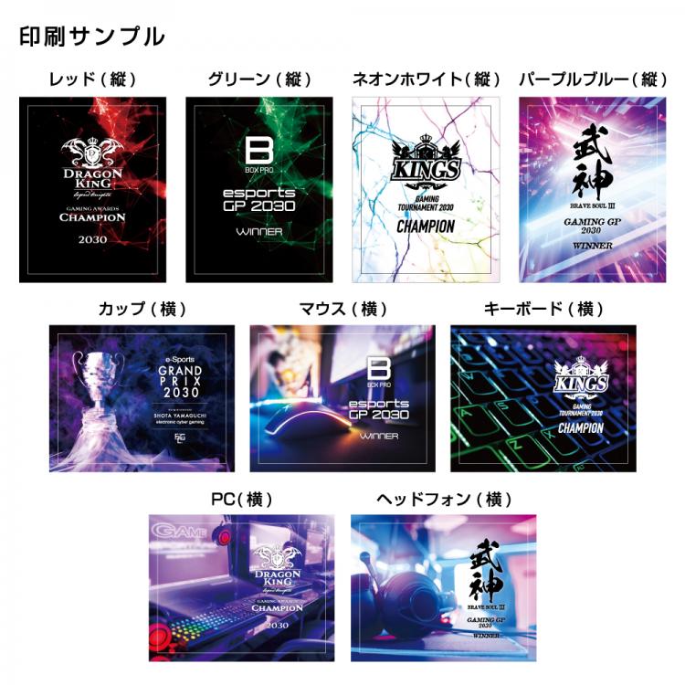 ゲーミングアカデミア　AL-006-esports