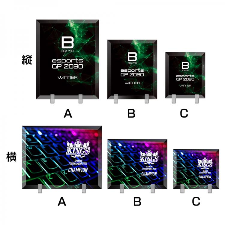 ゲーミングアカデミア　AL-006-esports