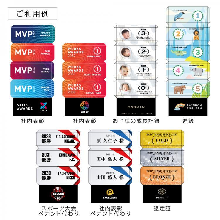 アクリルスタックトロフィー AL-105