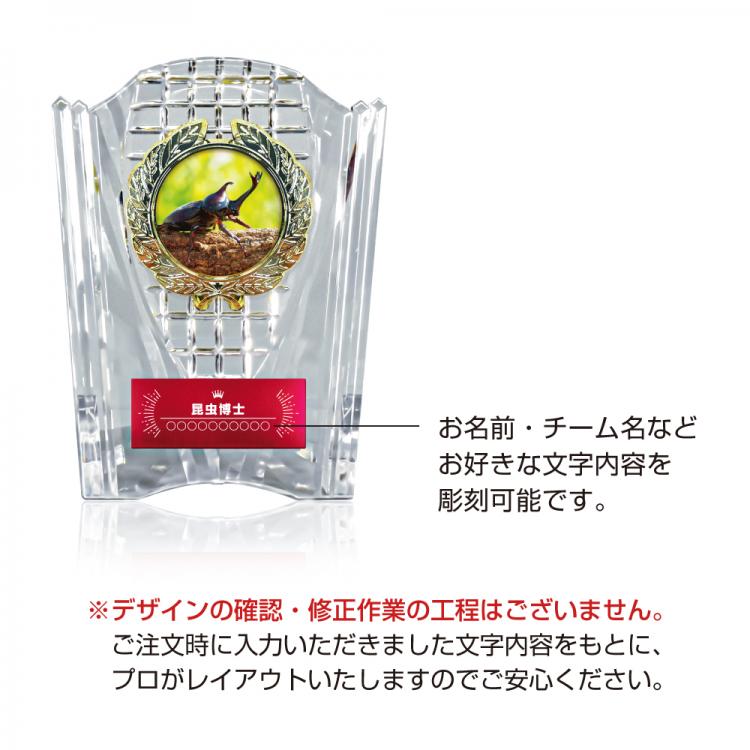 ミライアワード AL-707-mirai