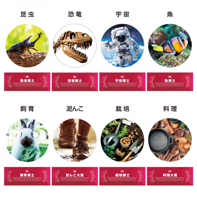 ミライアワード AL-707-mirai