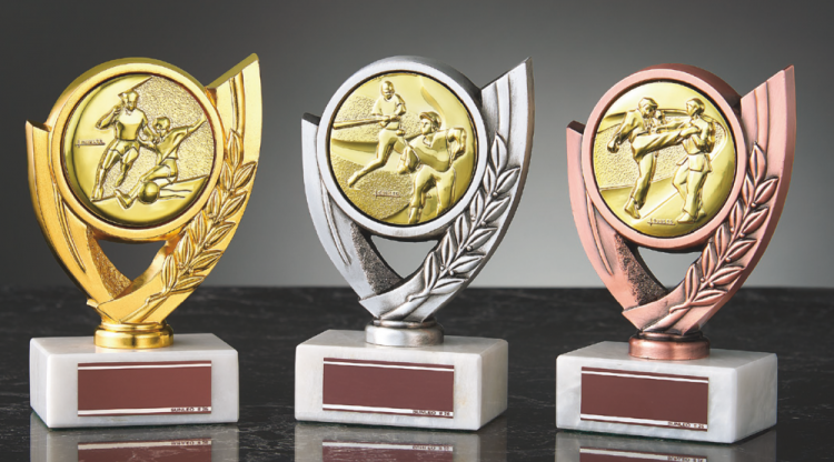 145種目から選べるトロフィー S-BRZ-4690