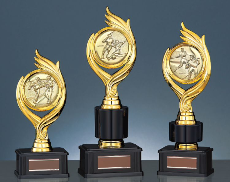 145種目から選べるトロフィー S-BRZ-4606