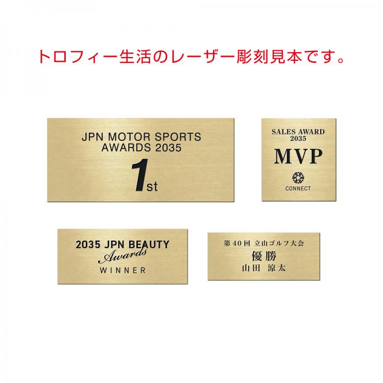 イタリア製サッカートロフィー ゴールデンフット LG-15310