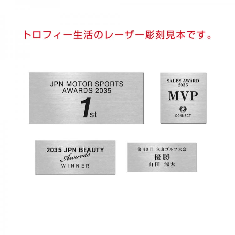 イタリア製トロフィー フォーミュラ LG-17400