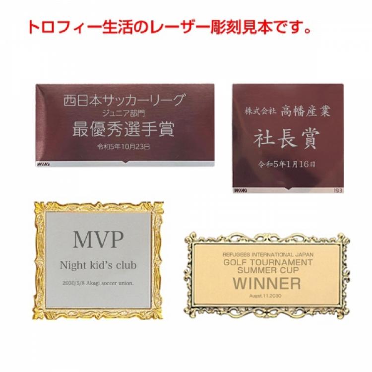 表彰メダル O-MQ