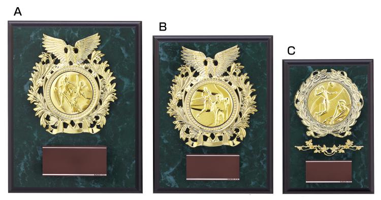 145種目から選べる表彰楯 S-ATZ-4448