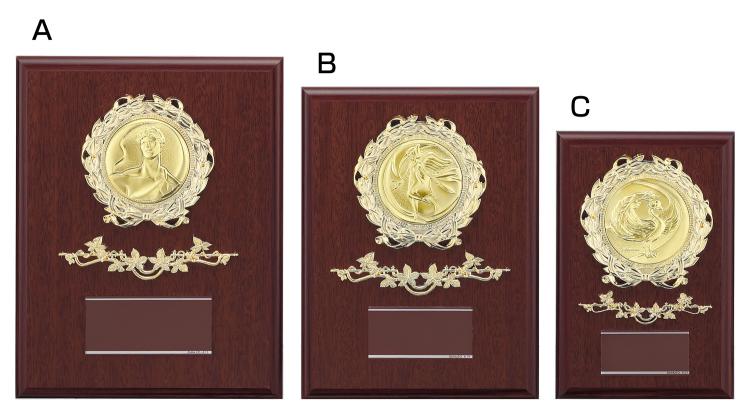 145種目から選べる表彰楯 S-ATZ-4449