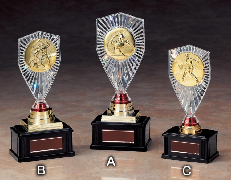 145種目から選べるトロフィー S-TRZ-4393