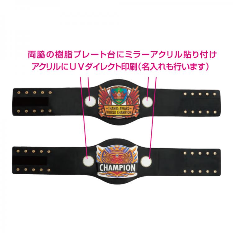 ミラーアクリルチャンピオンベルト W-Z-158-3,W-Z-158-4