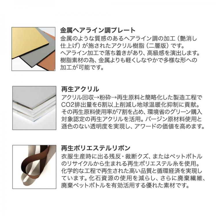 アクリルメダル  エイコン W-ZNA-9108