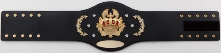 チャンピオンベルト羽根王冠 W-Z-159-1